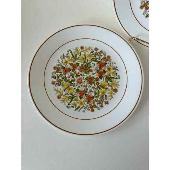 Vintage Corelle Indian Summer Dinner plate, 10.25 inch diameter, One Plate - Picture 6 of 7